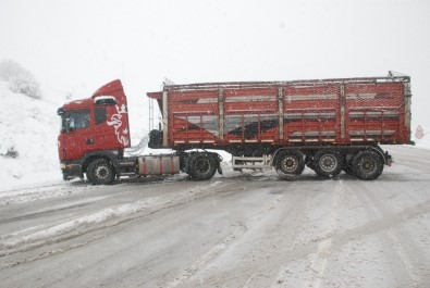 Tokat'ta Kar Etkili Oldu, Araçlar Yolda Kaldı