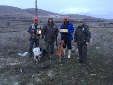 Afyonkarahisar'da Kacak Avcılıkla Mücadele Çalışmaları
