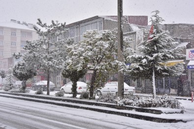 Ahlat'ta Kar Yağışı