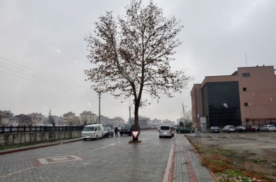 Akşehir Belediyesi Ağaçlara Zarar Vermeden Çalışmalarını Sürdürüyor