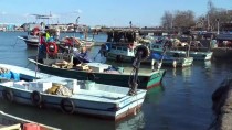 BATı KARADENIZ - Balık Rotasını Doğu Karadeniz'e Çevirdi