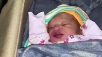 KIZ ÇOCUĞU - 'Benel' Bebek THY Uçağında Doğdu