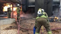 EDINCIK - Bitkisel Yağ Fabrikasında Yangın