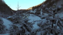 KARANLıKDERE - Bolu Dağı'nda Kar Güzelliği
