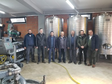 Burhaniye'de Organik Zeytinyağı Fabrikası İlgi Gördü