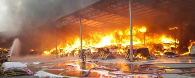 Sünger fabrikasında korkutan yangın