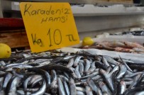 BATı KARADENIZ - Balıkçılar uyardı