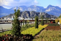 BALIK TUTMA - Boğaçayı Antalya'nın Yeni Yaşam Alanı Oluyor