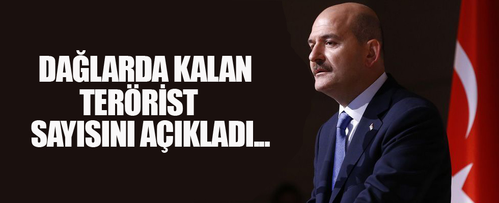 İçişleri Bakanı Soylu dağlarda kalan terörist sayısını açıkladı