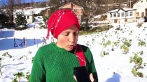 Karadeniz Kadınları, AA'nın 'Yılın Fotoğrafları'oylamasına Katıldı Haberi