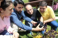 İŞİTME ENGELLİ - Eyüpsultanlılar, ESER'le Engelleri Aşıyor