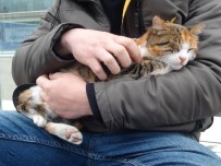 İZİNLİ ASKER - (Özel) Biri Polis Biri Asker Duyarlı Davranışlarıyla Yürekleri Isıttılar