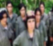 NEVROZ - PKK, Hamile Kalan Teröristi İnfaz Etti