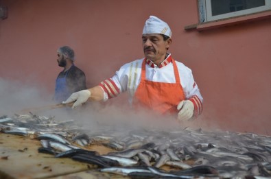 Ordu'da Hamsi Şenliği