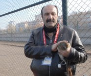 KEMAL ÇELIK - Davetsiz Misafir Sahaya Kondu