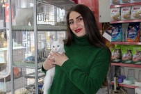 MUHABBET KUŞU - Kış Aylarında Pet Shoplara Yoğun İlgi