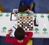 BADMINTON - Satranç Branşında Faaliyetler Hız Kesmiyor