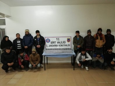Siirt'te 14 Kaçak Göçmen Yakalandı