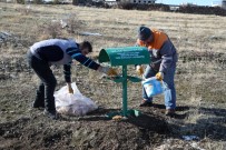 BAŞAKPıNAR - Talas'ta Yaban Hayvanları Unutulmadı