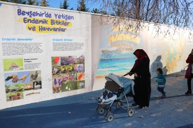 Beyşehir'de 'Çocuk Oyun Sokağı' Projesi