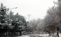 Doğu Anadolu'da Kar Ve Dondurucu Soğuk