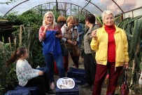 MAHMUT KOÇ - Pitaya Bahçesi Servet Kazandırıyor