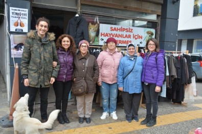 Sinop'ta Sokak Hayvanlarına Destek Kermesi