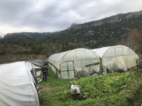 SEBZE ÜRETİMİ - Akseki'de Seracılık Gelişiyor