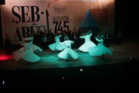 MENDERES TÜREL - Mevlana 745'Nci Yılında 'Şeb-İ Arus' İle Anıldı