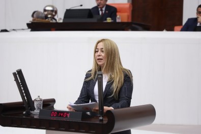 Milletvekili Esin Kara Açıklaması 'Beyin Göçü Engellenmeli'