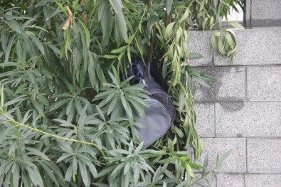 Şüpheli Valizin, Patlatılmasını Canlı Yayın Yaparak İzlediler