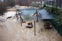 BARAJ KAPAKLARI - Yalova'da 2 Dere Taştı