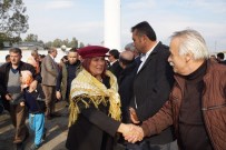 DEVE GÜREŞİ - Başkan Çerçioğlu, Koçarlı'daki Deve Güreşi Şenliği'ne Katıldı