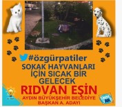 SOKAK HAYVANI - AK Parti'li İç Isıtan Proje Açıklaması Özgür Patiler