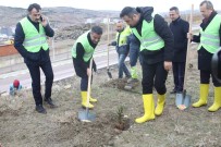 Çankırı Belediyesi Bin 500 Fidanı Toprakla Buluşturdu