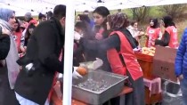 HAMSİ FESTİVALİ - Hamside Fiyat Düştü Öğrenciler Festival Düzenledi