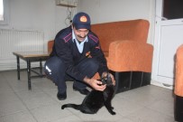 İTFAİYE MÜDÜRÜ - Motor Arasından Kurtarılmıştı, O Kedi İtfaiyenin Maskotu Oldu