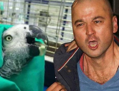 Murat Özdemir'in işkence yaptığı papağan öldü!