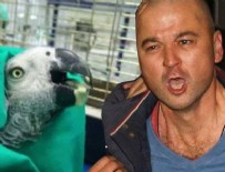 MURAT ÖZDEMIR - Murat Özdemir'in işkence yaptığı papağan öldü!