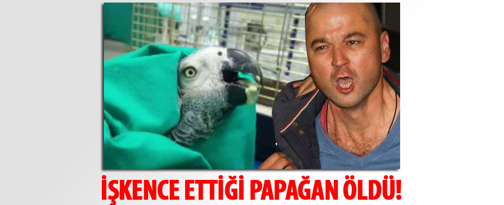 Murat Özdemir'in işkence yaptığı papağan öldü!