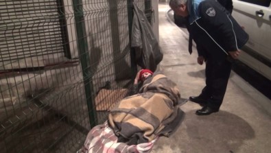 ( Özel) Belediye Ekipleri Donmak Üzere Olan Vatandaşları Kurtardı, Ünlü Oyuncu Hale Soygazi De Ekiplere Yardım Etti