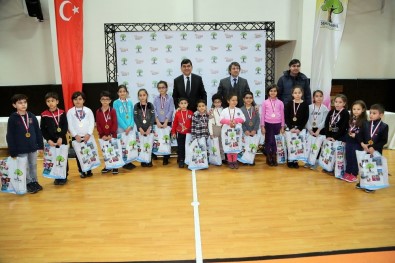 Satrançta Türkiye Şampiyonasına Vize Aldılar