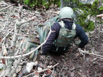 Siirt'te PKK'nın Kış Üslenmesine Yönelik Operasyon Devam Ediyor