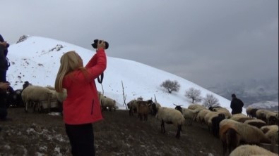 Terörün Bittiği Dağlar Artık Fotoğraf Sanatçılarına Emanet