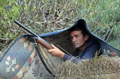 Antalya'da 'Gizemli' Koyun Katliamı