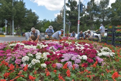 İsteyince Oluyor Dedi, Halkın Gönlüne Taht Kurdu