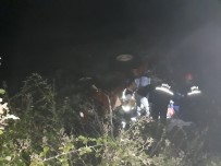 MEHMET NIYAZİ - Marmaris'te Traktör Şarampole Yuvarlandı Açıklaması 1 Ölü