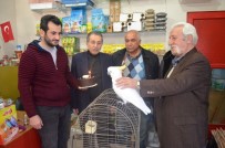 SADIK AHMET - Papağana 42. Yaş Günü Kutlaması