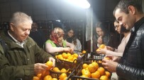 İHRACATÇILAR - Rus Veteriner Hekimlerinden Akdeniz Meyve Sineği İncelemesi