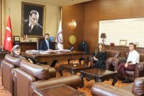 KADıN HAKLARı  - Yeşilboğaz Açıklaması 'Adli Yardım Sağlayan Avukatların Donanımı Artırılıyor'